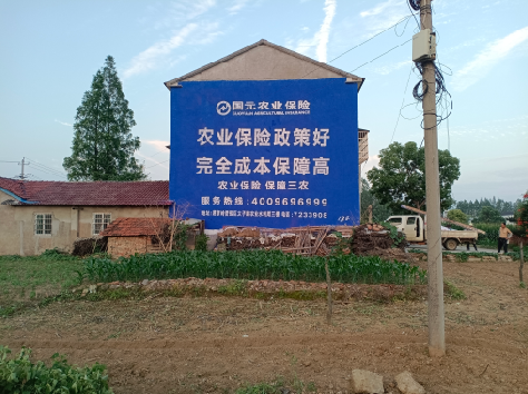 绥阳墙体广告为何受追捧？